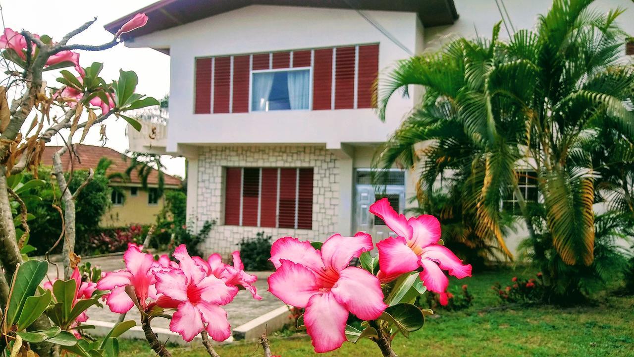 Jacks Hill Tropical Arcadia Hotel Kingston Exterior foto