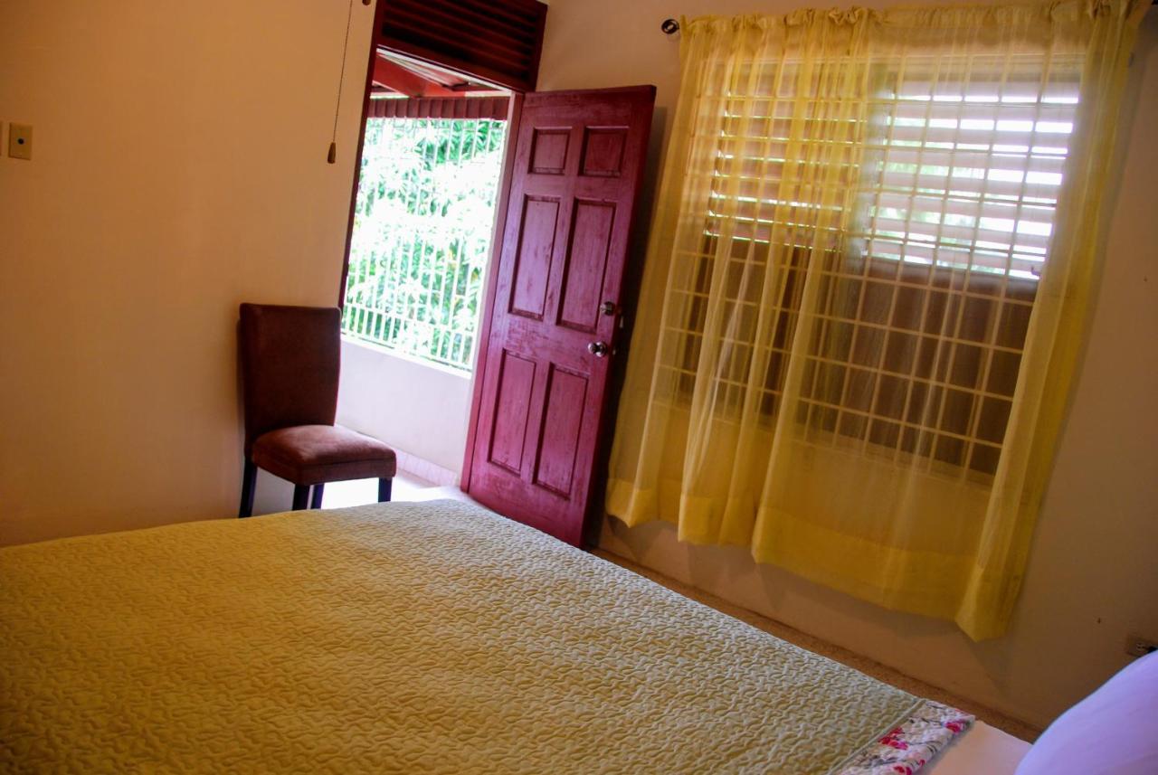 Jacks Hill Tropical Arcadia Hotel Kingston Exterior foto